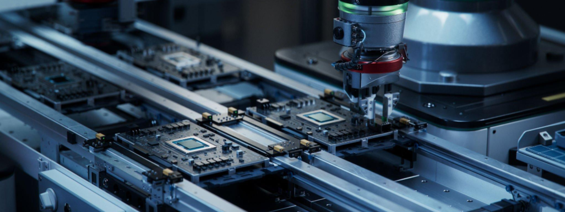 I am the Title I am a free bird